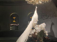 -滇野云南野生菌餐厅(陕西南路店)