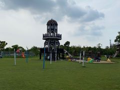 -上海长兴岛郊野公园