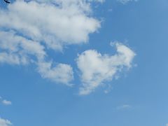 -康新公路(地铁站)