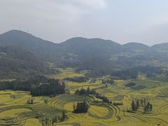 -牛街螺丝田