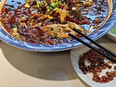 -新概念来凤鱼(璧山店)