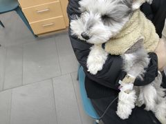 -联合动物医院(光谷诊疗中心)