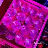 适度小酌
