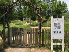 -前小桔亲子创意农场·草莓采摘·露营烧烤