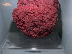 -天津自然博物馆