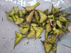 -白洋淀景区