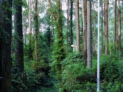 -水濂山森林公园