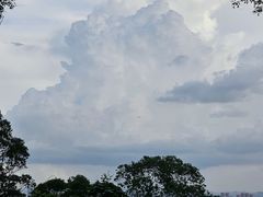-火炉山森林公园