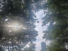 -长白岛森林公园
