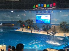 -泉城欧乐堡海洋极地世界