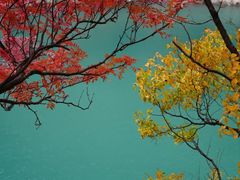 -叠溪松坪沟景区