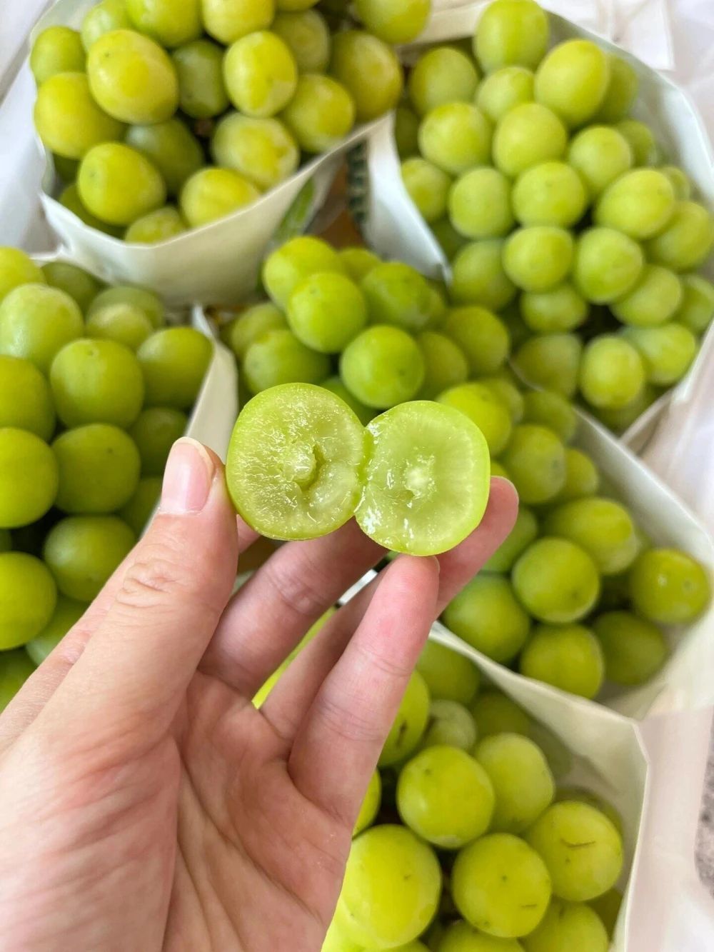 甜脆青提👉这是一串不走寻常路的葡萄!