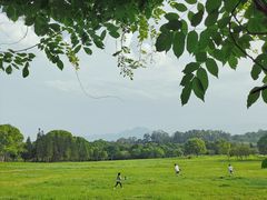 -福建鲤鱼洲酒店