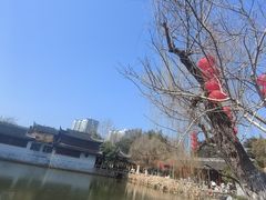 -水绘园