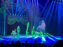 -珠海横琴长隆《卡卡虎奇遇记》