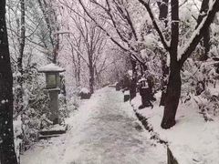 -树山生态村