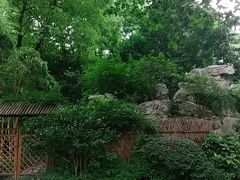 -静安公园(静安寺街道)