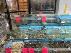 -洲晓鱻舟山海鲜(2号店)