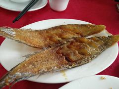 -蛇口康乐快餐鱼仔档(翠苑小区店)