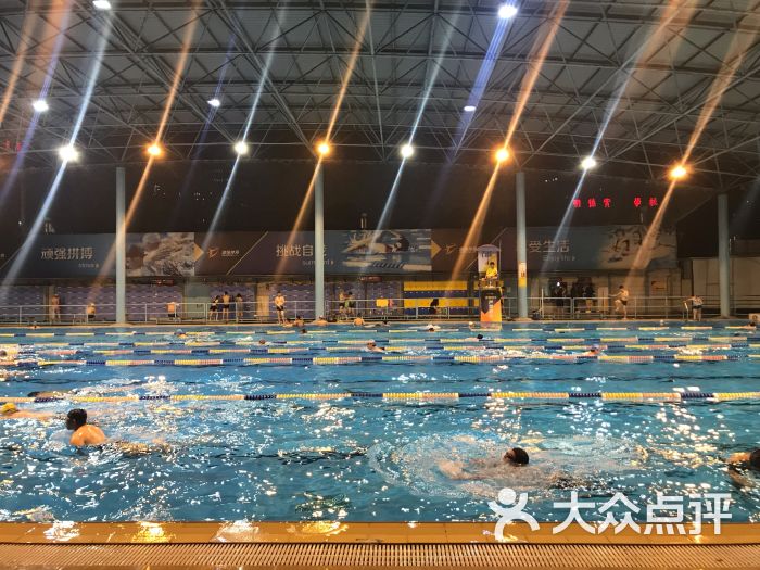 三林体育中心游泳馆图片