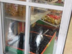 -黑孩油栗皇(南阳路店)