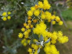 -天河体育中心篮球城