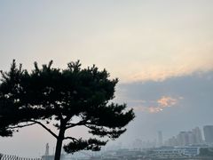 -mango tree芒果树泰国餐厅(青岛万象城店)