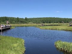 -塞罕坝国家级自然保护区