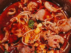 -冯烫烫跷脚牛肉·川菜小馆(武胜西街店)