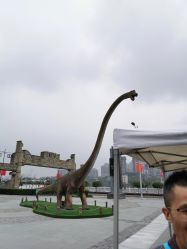 点击看大图 -恐龙探索乐园(磁器口店)