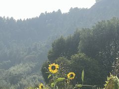 -径山花海