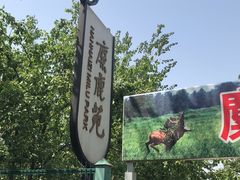 -北京麋鹿生态实验中心