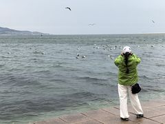 -幸福门