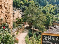 -杨家堂村