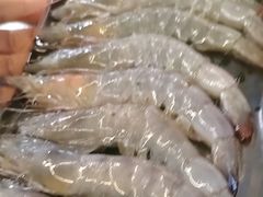 -四斤烤肉(东戴河孟家店)
