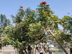-清溪大王山森林公园