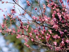-峙山公园