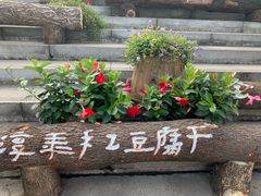 -重庆市江北嘴中央商务区中央公园