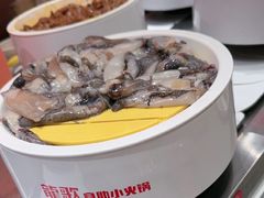 -龍歌自助小火锅(雨花台江南虹悦城店)