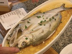 -沈厅酒家(周庄店)