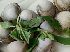 -海大大蒸汽海鲜餐厅·粤菜·特色小炒(欢乐颂店)