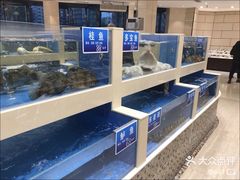 -双井轩(双井店)