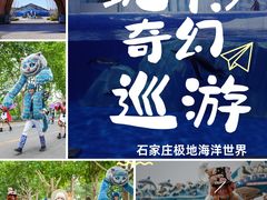 -石家庄极地海洋世界