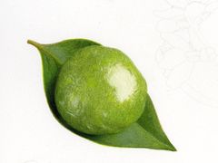 -东方童画少儿美术(莘庄体验馆)