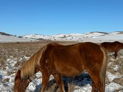 -塞罕坝国家级自然保护区