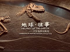 -柳州白莲洞洞穴科学博物馆