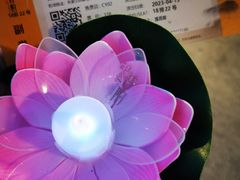 -印象普陀