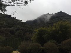 -天明山温泉大酒店