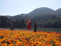 -广州市流溪河国家森林公园