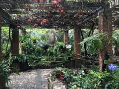 -华南国家植物园-售票处